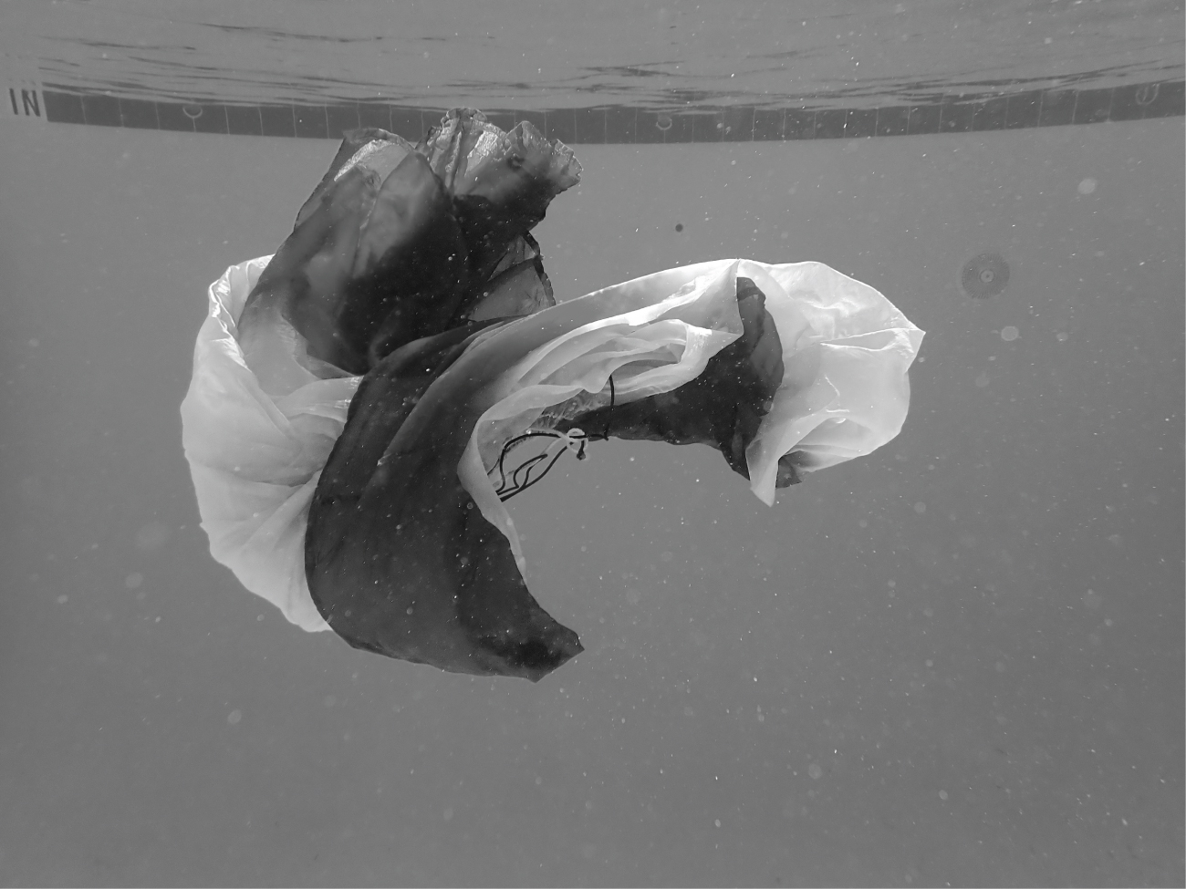 blackandwhite
