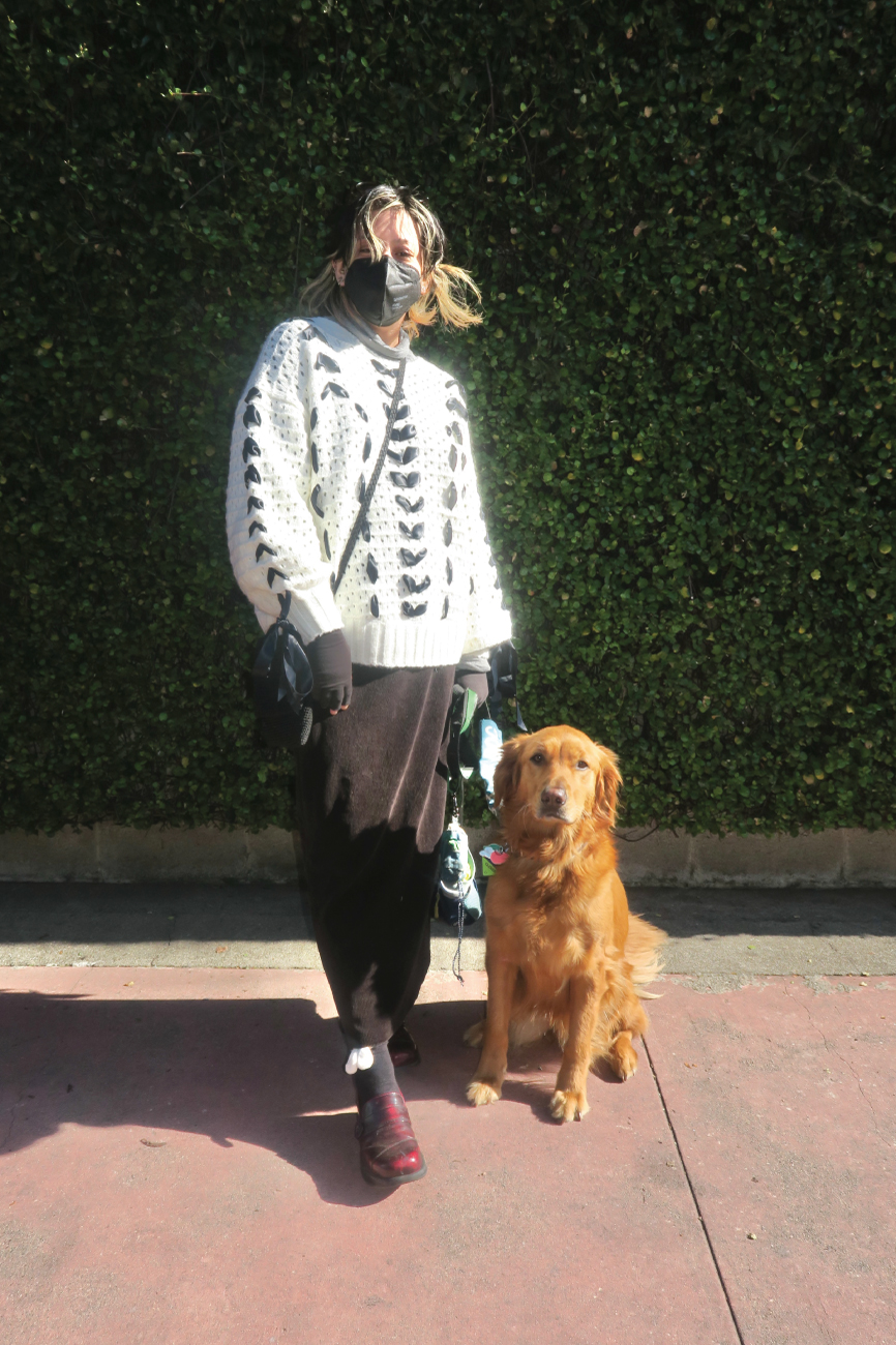 canines