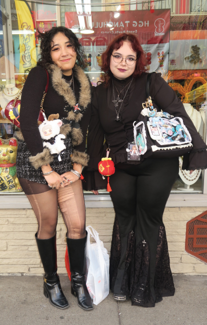 fashion